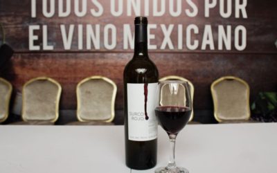 Lanzan la campaña “Todos Unidos por el Vino Mexicano”